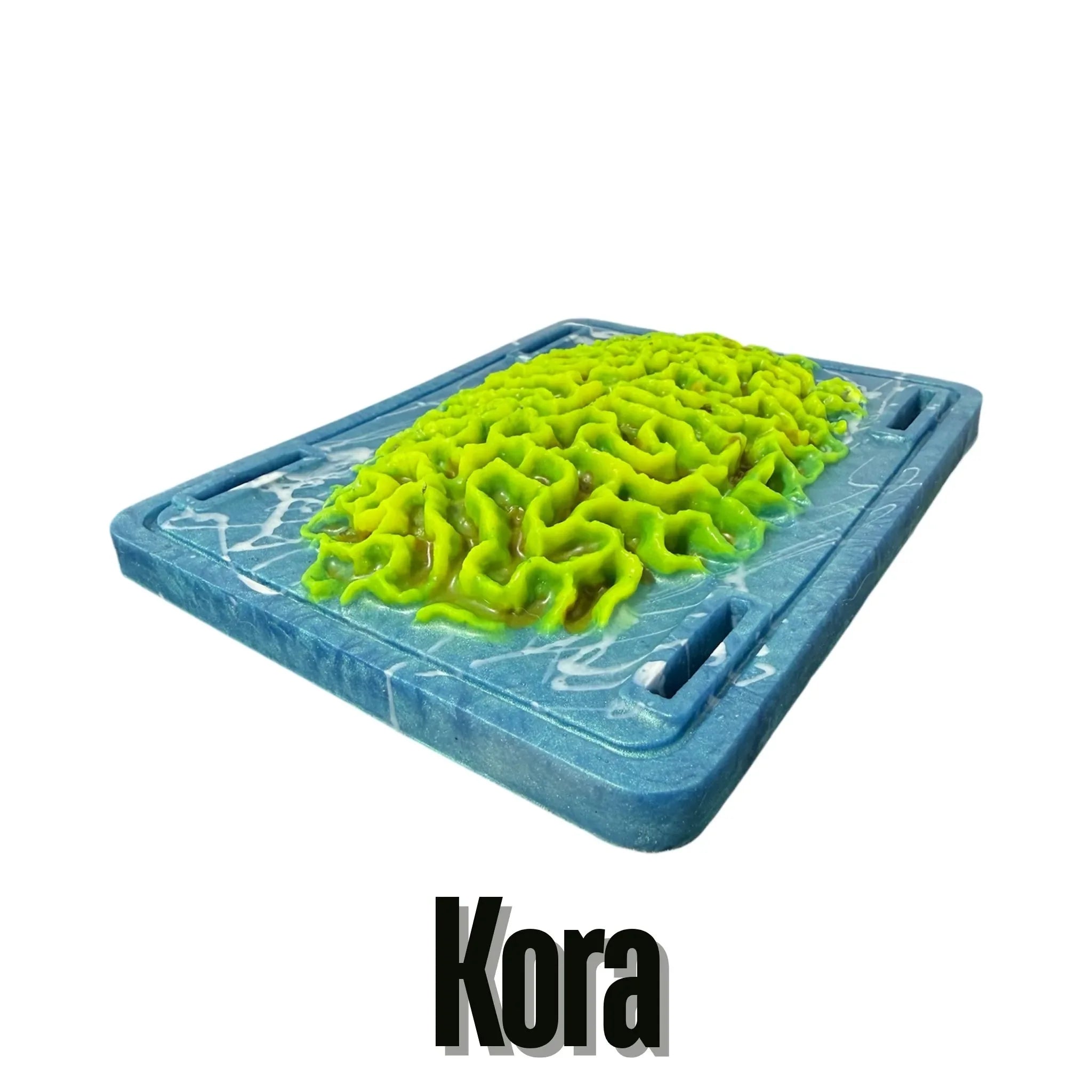 Kora